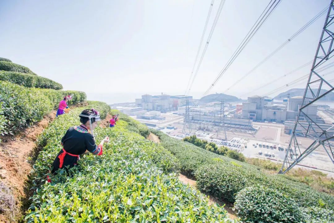 中广核福建宁德核电基地.jpg