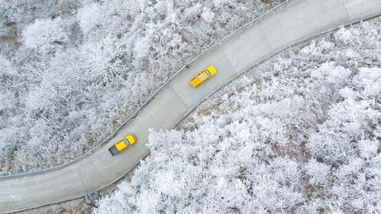 近日，新一波强冷空气来袭，我国南方地区大范围气温骤降，局部地区降温超10℃。为保障人民群众温暖过冬，保障电力可靠供应，南方电网公司广大党员干部员工以强烈的使命担当，迎战寒潮第一线。图为1月8日，贵州省黔东南苗族侗族自治州台江县，贵州电网公司凯里供电局员工前往海拔1700余米的高山上开展除冰工作。（蔡兴文 摄）