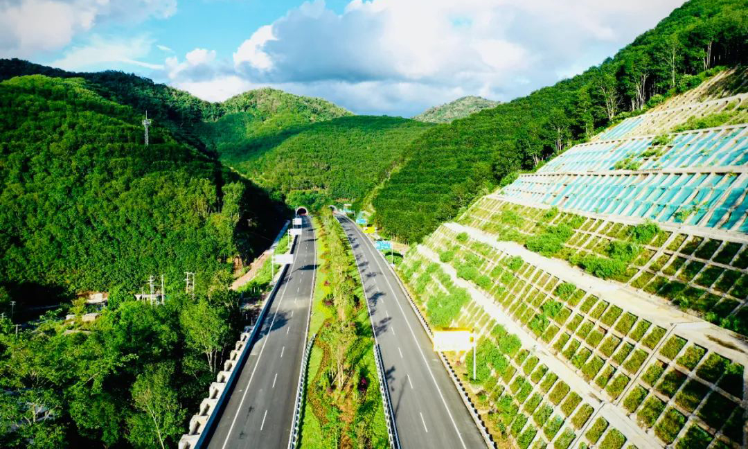 在腊满高速建设中，云南交投集团像尽可能避让沿线自然资源，将施工和生态保护同步进行，优先选择以‘该桥则桥该隧则隧’的方式减少对河道、水文的改变，遵循‘零开挖’建设理念，减少对隧道洞口上方及周围土体的开挖扰动，对珍稀植物进行就地移栽保护。图为腊满高速生态边坡防护。