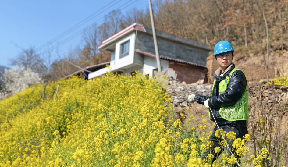 近日，中国电信陇南碧口农村区域营销中心的工作人员组织开展了“服务进万家”行动，为用户讲解部分应用产品的使用方法，让用户充分享受高速网络、远程看家、超高清电视节目等应用产品带来的实惠。