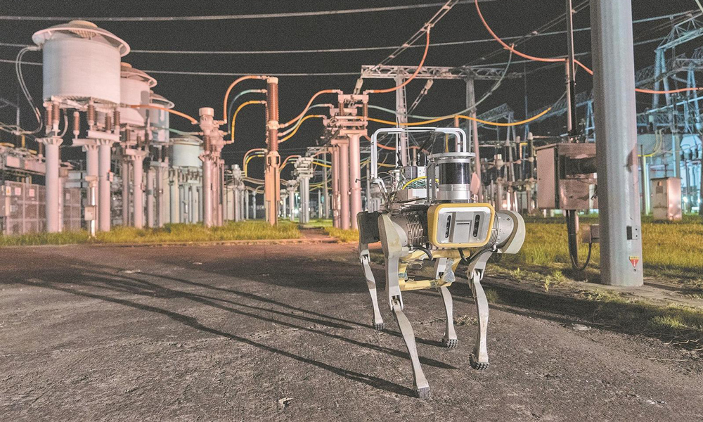 近日，国家电网江苏南京供电公司运用智能变电站自动巡检机器人对500千伏东善桥变电站开展夜间巡检。
