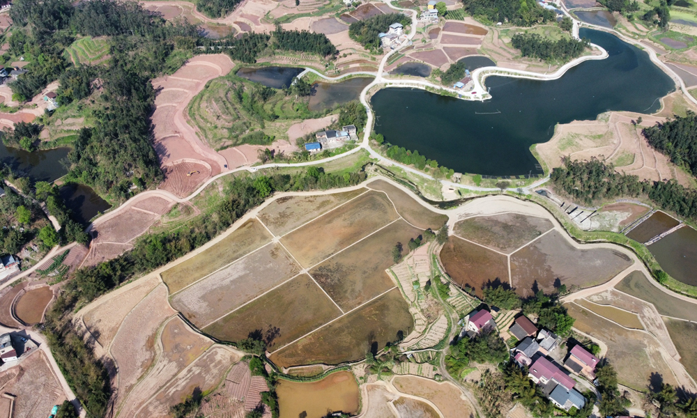 当前，正值耕种农忙时节，在重庆市铜梁区水鸭村高标准农田内大型旋耕机和覆膜机来回穿梭给田野铺上绿色的“地毯”，处处孕育着“丰收”的希望。由中国建筑旗下中建四局投资建设的重庆铜梁全域土地综合整治及现代农业产业项目，让“粮田”变“良田”，夯实乡村振兴“耕”基。