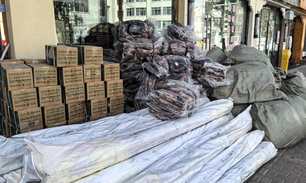 中交集团所属中交建筑在日喀则市筹集了方便面2车、矿泉水2车、帐篷50顶，干粮、手套、军大衣等防寒物资2车，整装待发随时驰援灾区，彰显央企责任担当。