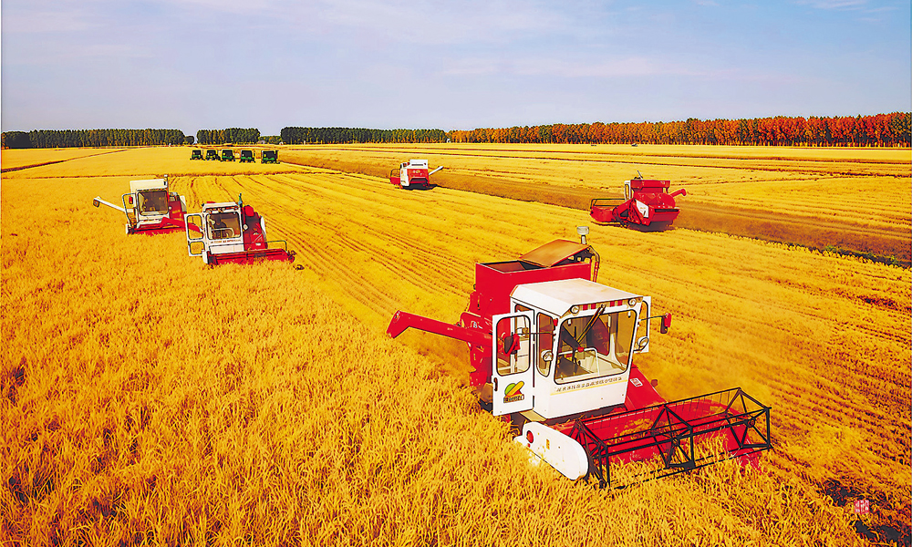 在复耕地块上，吉林油田农业开发公司打造“全周期服务链”：春耕前完成水电渠网升级，并邀请农科院专家驻场指导，用测绘建模找出地力薄弱区，拿采油管道技术改良灌溉系统，还创新推广土壤深翻修复等技术。通过建立“科研院所+技术员+农户”三级联动，让872公顷盐碱地焕发新生，近两年粮食总产2000万斤。