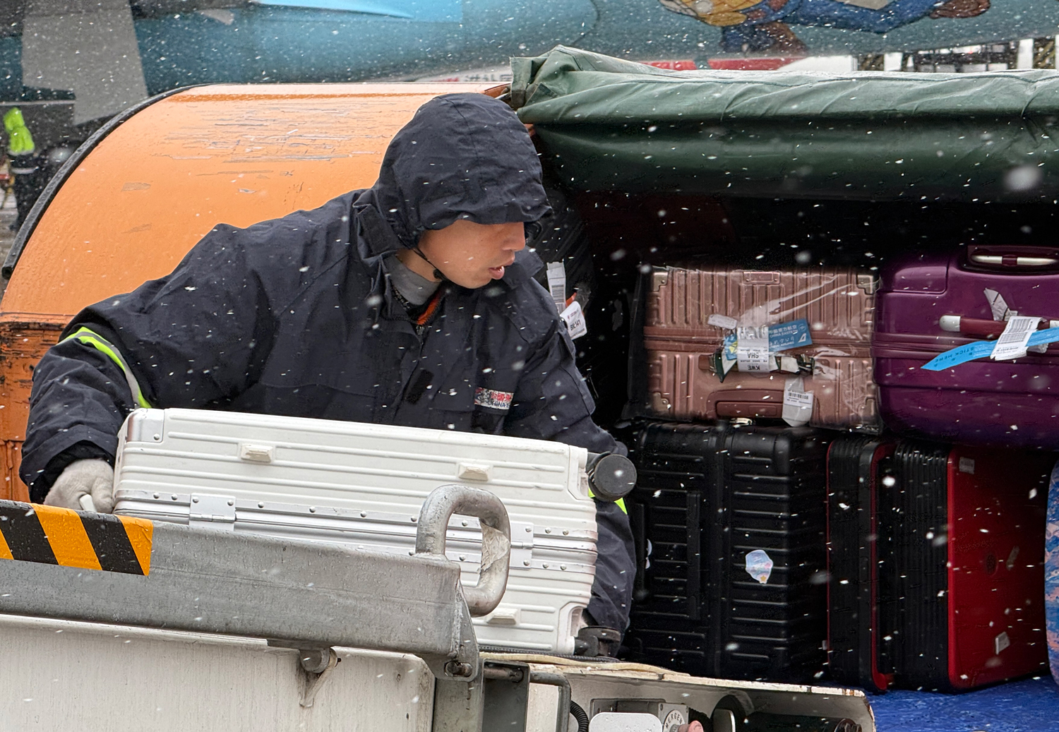 在行李保障方面，中国东航执行“上盖下垫”操作，为行李遮盖防雨布、垫高隔离栅，防止行李在雨雪天气中受潮。图为上海虹桥国际机场工作人员在风雪中搬运行李。