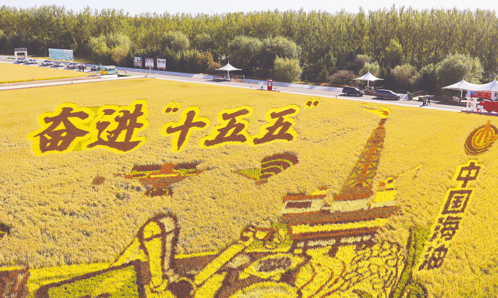 金秋时节，沃野丰收。从东北黑土地到南方红土地，从示范田到万顷良田，中国海油旗下中海化学应用全套植物营养解决方案，通过土壤检测、精准配肥、智慧管护，实现农田化肥减量、作物增产，助力农户从“会种地”转向“慧种地”。以科学农化服务守护良田，绘就沃野丰收画卷。