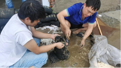 中煤地质总局：支部挺起来 党员站出来 风雨中构筑防汛抗灾堤坝0806(1)(1)1019.png