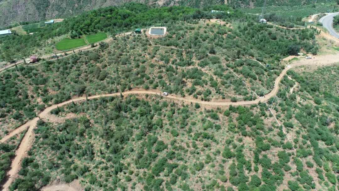 640 (31).jpg 640 (31).jpg