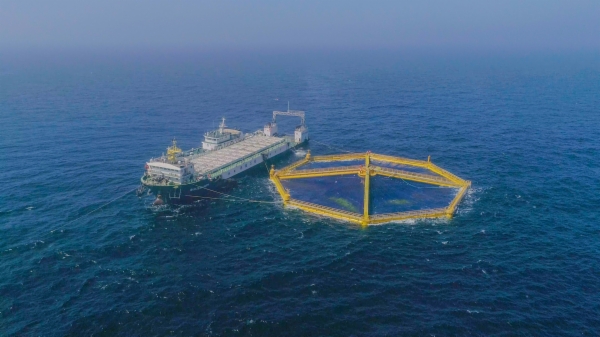 海洋1.jpg 海洋1.jpg