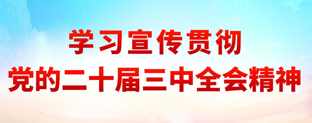 学习宣传贯彻党的二十届三中全会精神